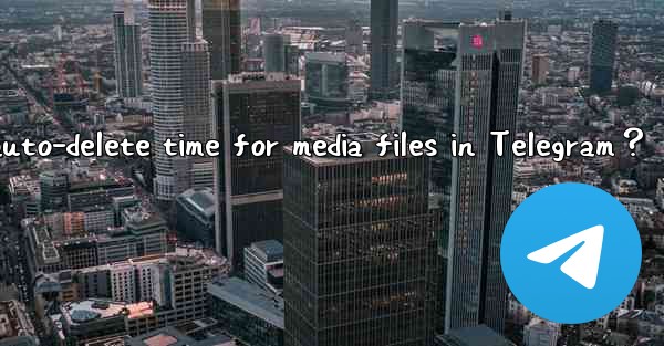 How to set the auto-delete time for media files in Telegram？